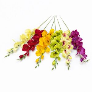 gladiol vázový satén dlhý mix 60cm