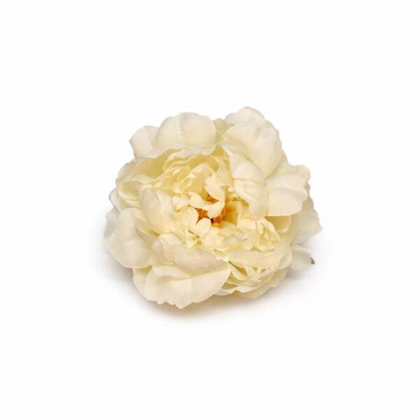 Pivónia vencová LUX cream