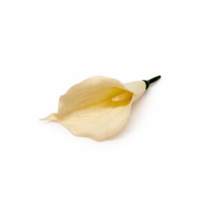 Kala vencová mala cream
