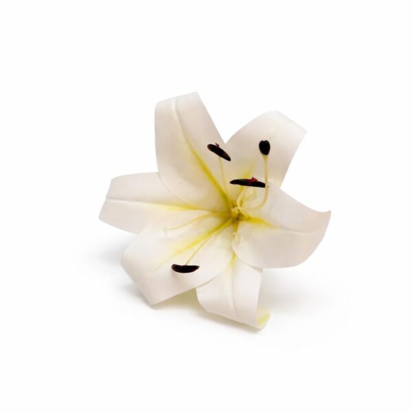 Ľalia white/cream guma