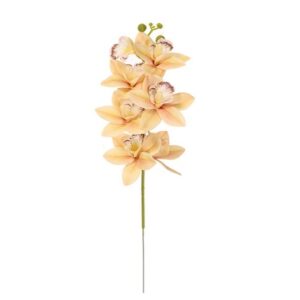 Cymbidium žlté