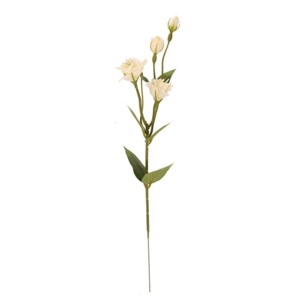 Lisianthus konárik krémový 57cm