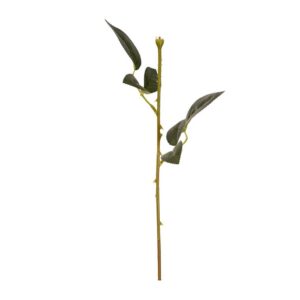 Stopka ruža 48cm