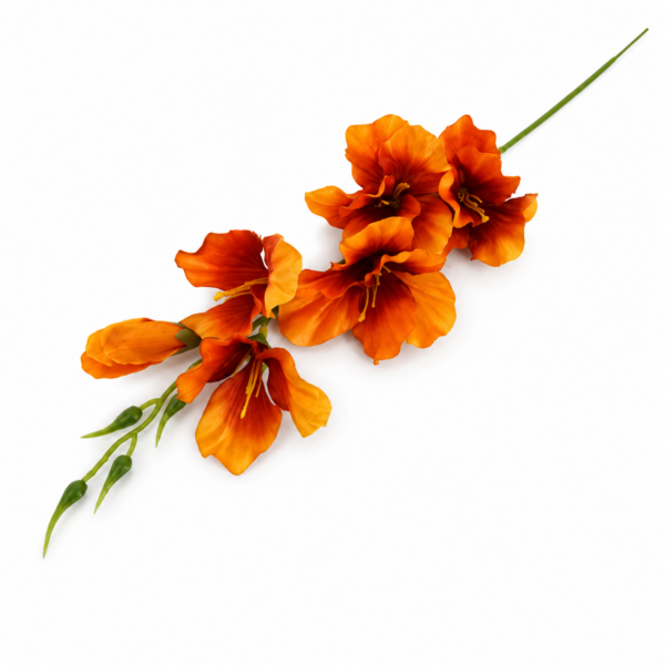 Gladiol oranžový 57cm