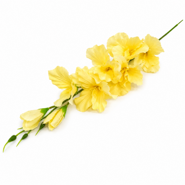 Gladiol žltý 63cm