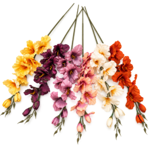 gladiol vázový satén dlhý jeseň 60cm